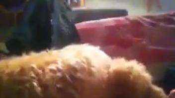 Hairy creature passionately thrusting into her mouth