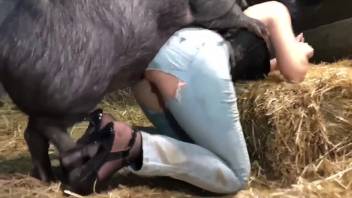Gata usando corpete fodendo bestas para a câmera