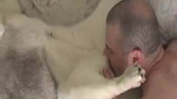 Guy pounding into a beast's tasty vagina