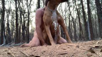 Guy takes control of a canine's orifice in an outdoor clip