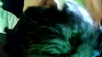 Furry dick satisfied rapidly by an incredibly hot beast