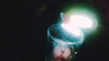 Guy thrusts his dick into a container packed with bugs for unending excitement