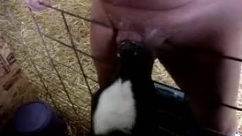 Attractive hunk with a plump figure savors a delightful blowjob