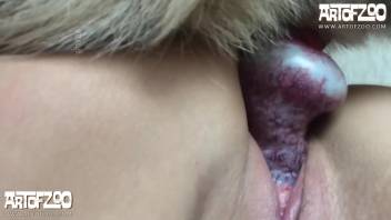 HD film featuring passionate doggy style and steamy creampies