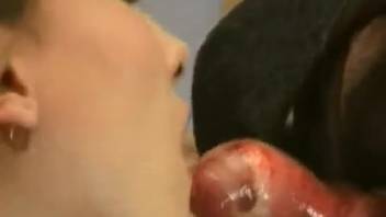 Amazing bestiality-loving girl accepts a canine's stiff cock