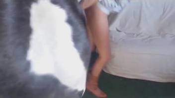 Steamy stallion penetrating a kinky woman with its enormous penis