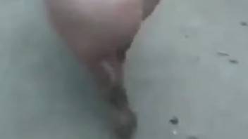 Guy screws a hot vixen before shooting his load on the floor