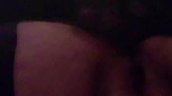 Intimate bestiality adult film featuring a juicy animal-lover's pussy