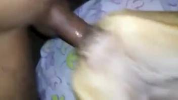 Filthy canine cavity being demolished by a rigid cock