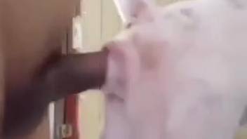 Guy screwing a super hot beast in an extremely steamy clip