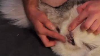 Pale vixen with a narrow opening drilled from the side in this spot