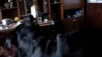 Attractive naked spouse records herself having intercourse with a canine