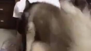 Dark-skinned brute slamming a brown-haired girl 18+ doggy style intensely