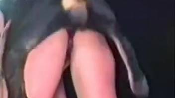 Collection of diverse whores getting pounded by their own dogs from the rear