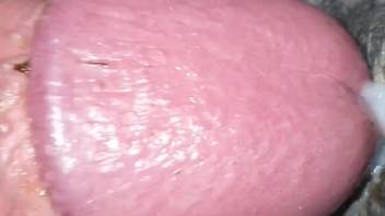 Pene zoófilo masivo follando un agujero de bestia apretado