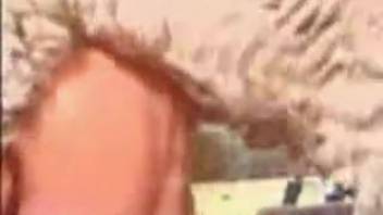 Female aggressively penetrated by a ram in her vagina and anus