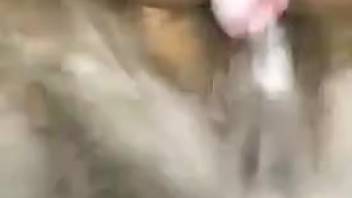 Hot beast relishing steamy intercourse with a tan-skinned hottie