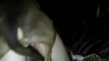 Hot beast movie loaded with intense animal sex