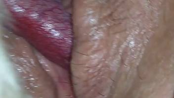 Moist vagina animal lover penetrated by crimson canine dick
