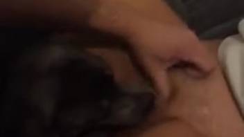 Oral sex video featuring a canine with an exceptional tongue