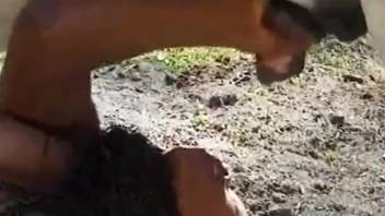 Hot babe displaying her craving for rigid stallion dicks