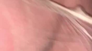 Canine overpowers a guy obsessed with slipping into stockings