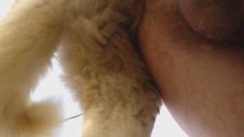 Attractive man gets on hands and knees to be penetrated by a dog