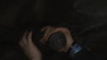 Steamy equine dick being masturbated in a complimentary internet clip