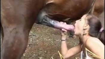 Incredible bestiality video featuring a sexy chick obsessed with deep-throating a massive horse cock