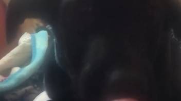 Aroused guy craves to butt bang his plush beast during twisted fun
