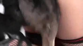 Slut in fishnets employs her soaked pussy to lure beasts