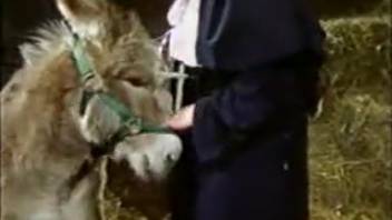Adorable mule ejaculates on the narrow vagina of a deviant nun