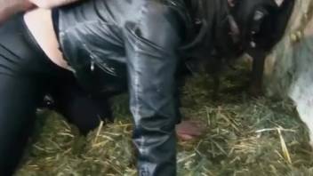 Dressed dark-haired woman senses swine's dick directly in her rear