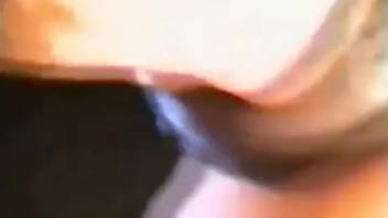 Horse vagina fisted and screwed by an aroused woman
