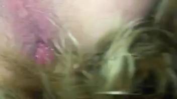 Compact homosexual guy's rear end screwed in the dead of night by a beast