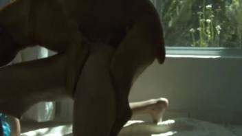 Intense vaginal deviances at home involving a woman and her canine