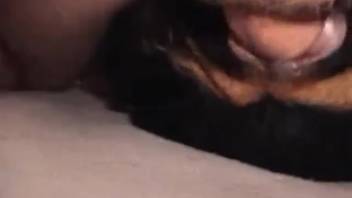Guy with hairy dick screwing a filthy beast in the cunt