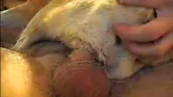 Sexy wildcat pounded savagely by a well-endowed stud