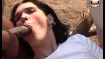 Amateur babe lets a horse savagely pound her desperate vagina