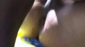 Incredible outdoor zoo threesome featuring two women and a stud