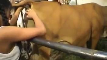 Aroused heifer having her vagina and anus licked