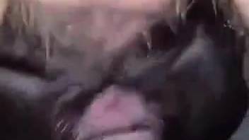 Guy screwing a filthy beast with his massive dick