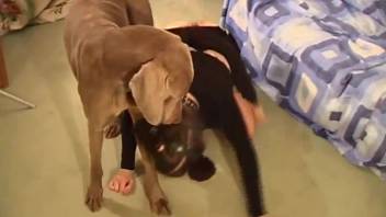 Sultry woman playing naughty with an excited pup