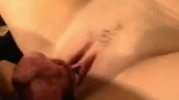 Sexy dark-haired babe with huge tits sucks on a canine cock