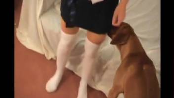 Beast-lover wearing a white mask truly adores her canine