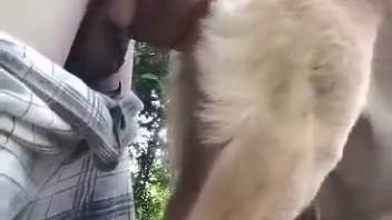 Excited guy bangs his fluffy pup in a super steamy webcam romp