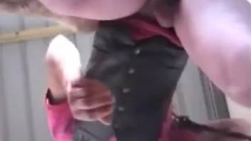 Naked homosexual guy receives rough anal penetration from a horse in explicit adult content