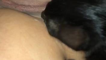 Babe with a hot figure pleasures her pussy