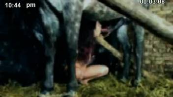 Well-endowed stud banging a dark-haired babe with an incredibly slack vagina