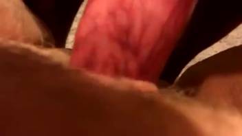Sexy dark beast screwing a kinky slut